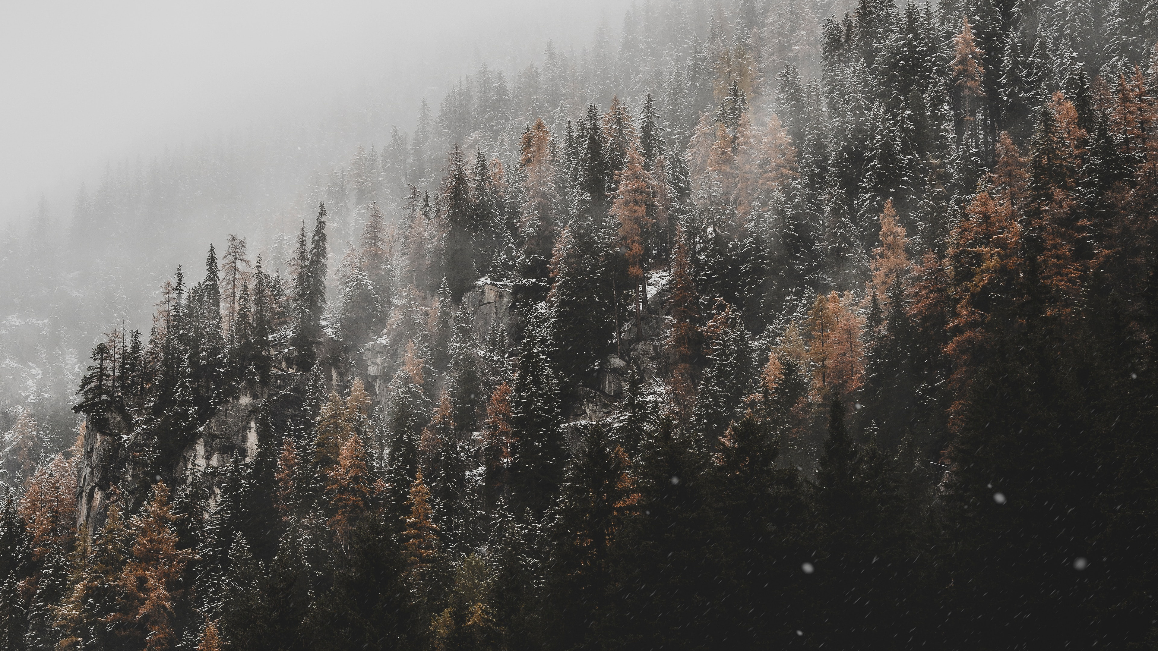 Baum, Cloud, Nebel, Naturlandschaft, Natürlichen Umgebung. Wallpaper in 3840x2160 Resolution