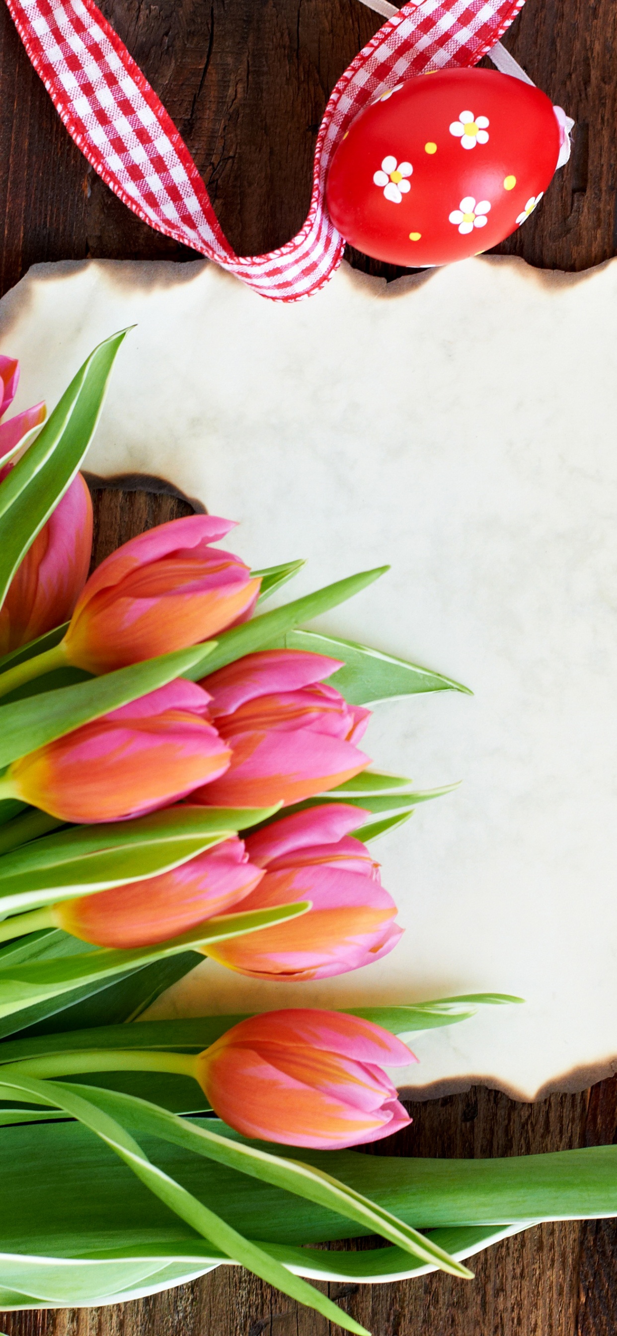 Oeuf de Pâques, Lapin de Pâques, Tulip, Famille Des Liliacées, Pétale. Wallpaper in 1242x2688 Resolution