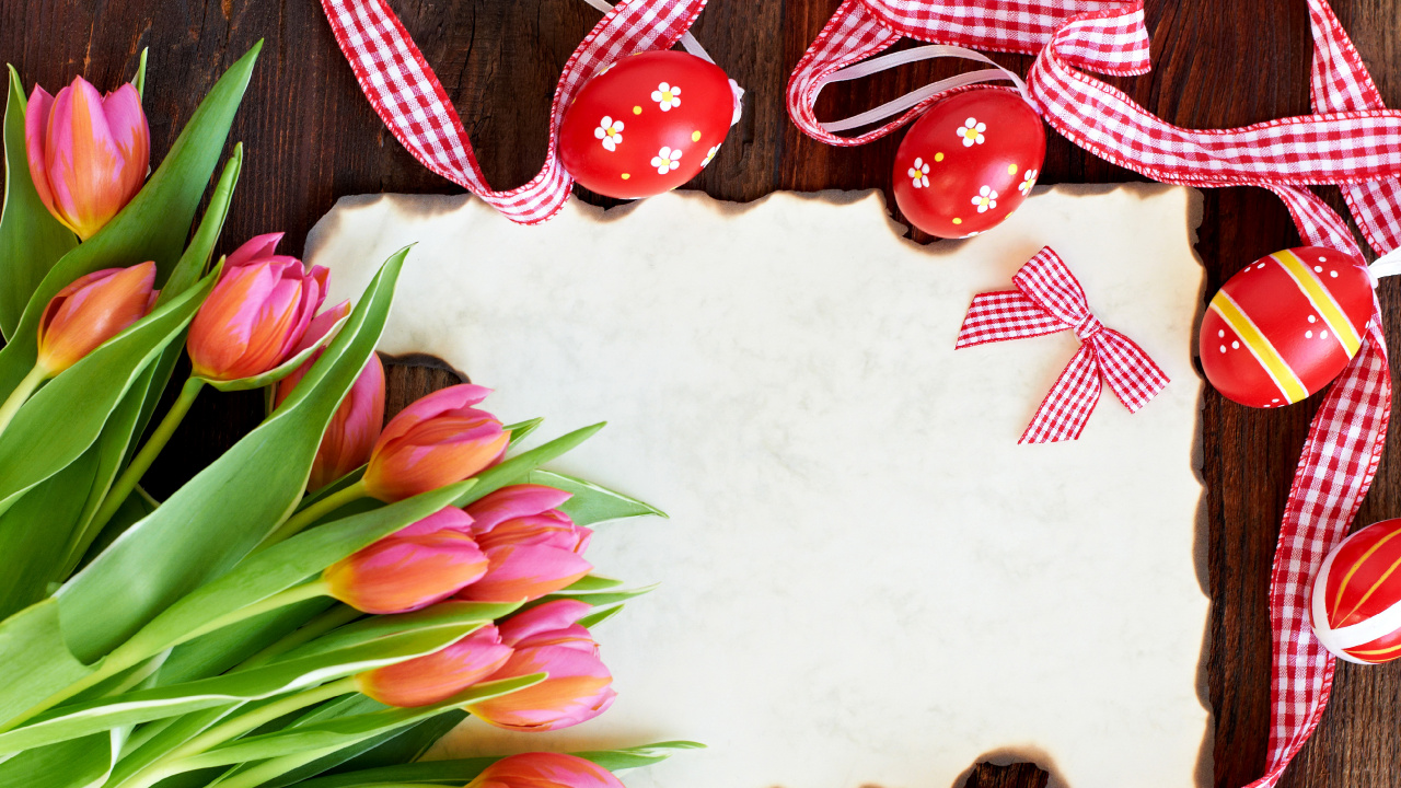 Oeuf de Pâques, Lapin de Pâques, Tulip, Famille Des Liliacées, Pétale. Wallpaper in 1280x720 Resolution