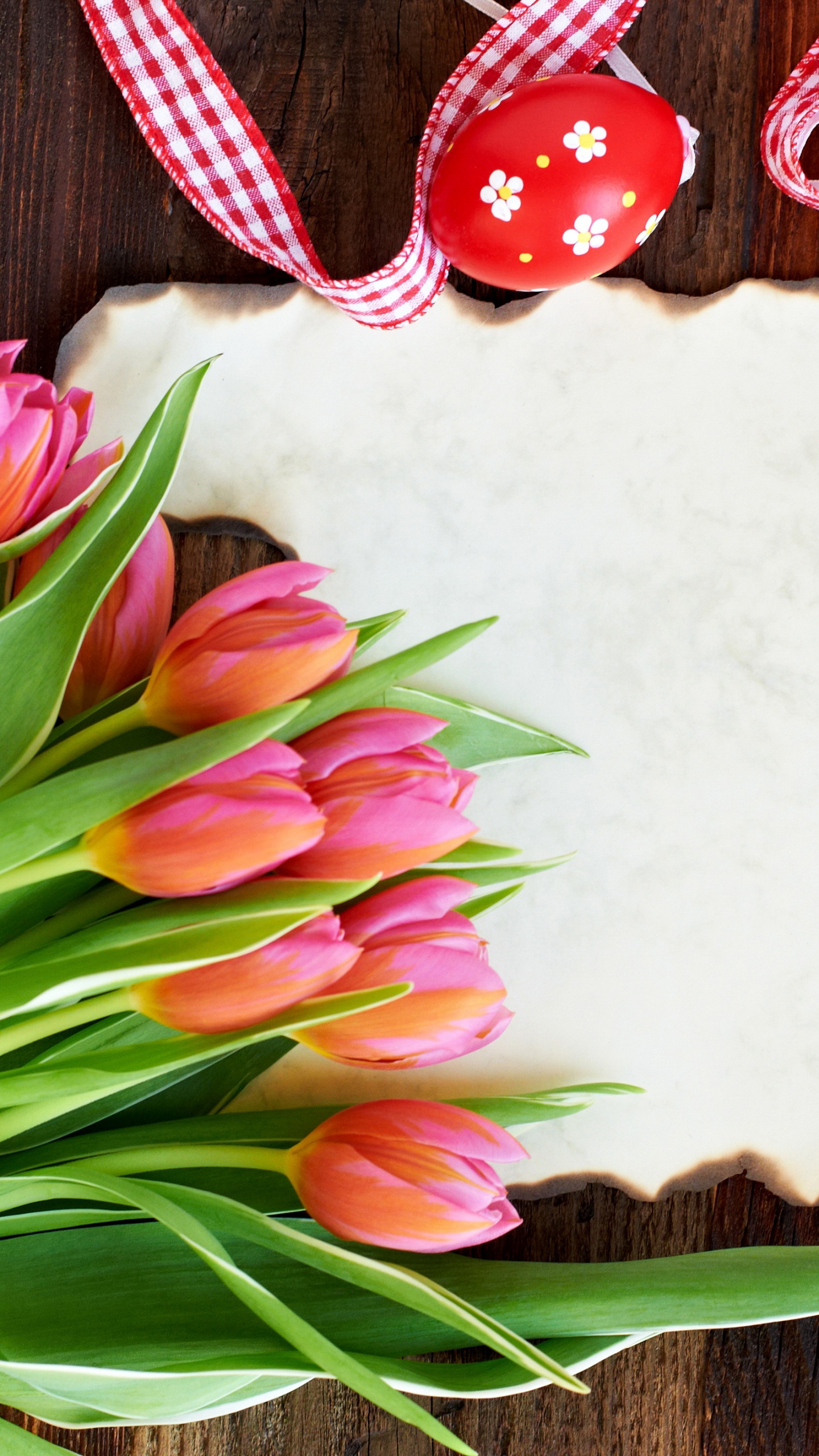 Osterei, Osterhase, Tulip, Lily Familie, Blütenblatt. Wallpaper in 1440x2560 Resolution