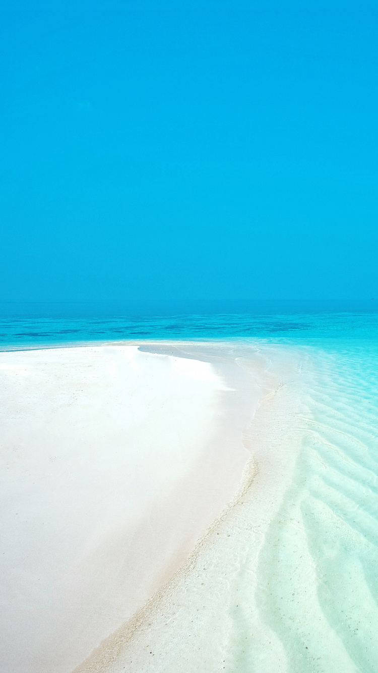 White and Brown Beach House on Beach During Daytime. Wallpaper in 750x1334 Resolution