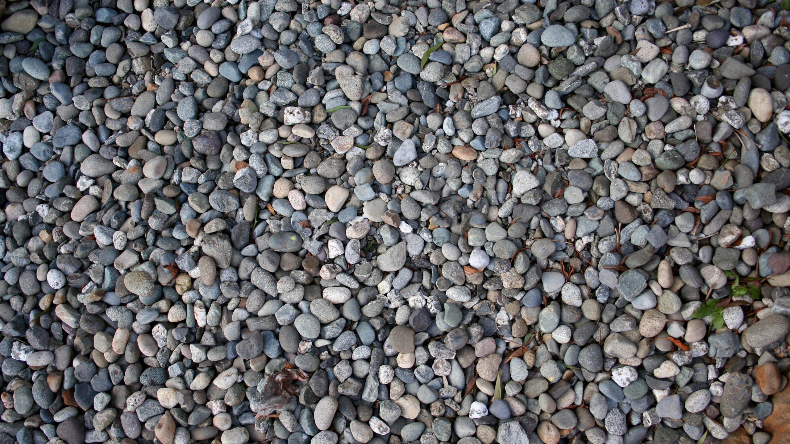 White Gray and Brown Pebbles. Wallpaper in 2560x1440 Resolution