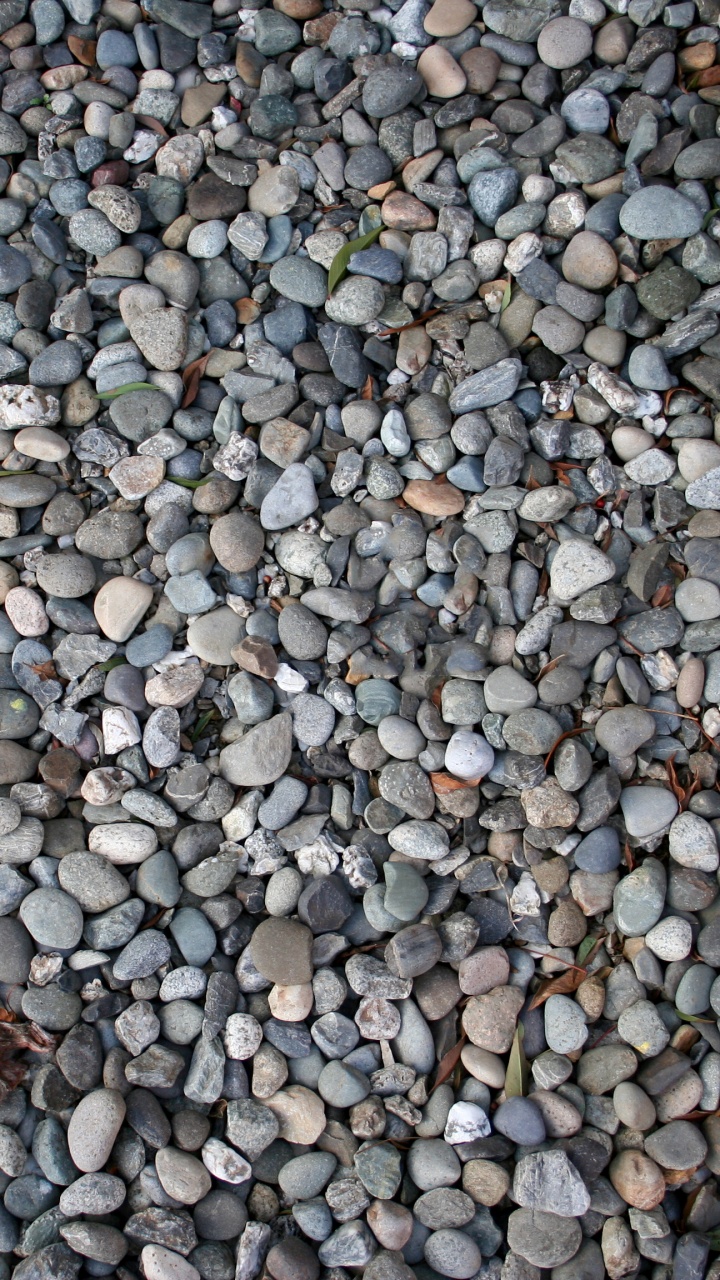 White Gray and Brown Pebbles. Wallpaper in 720x1280 Resolution