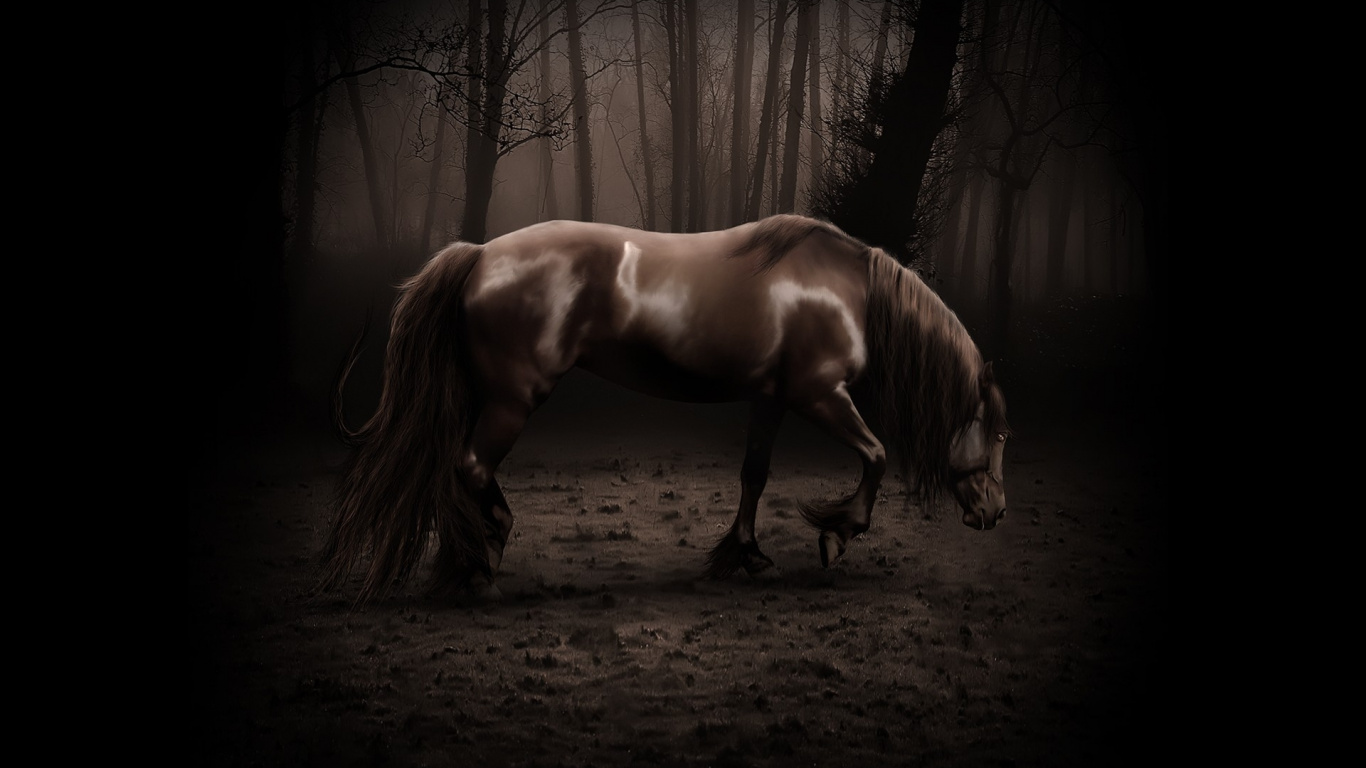 Brown Horse in Forest During Daytime. Wallpaper in 1366x768 Resolution