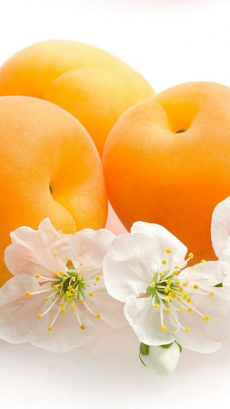Leaves Flowers and Fruit, Apricot, Fruit, Flower, Flowering Plant. Wallpaper in 750x1334 Resolution