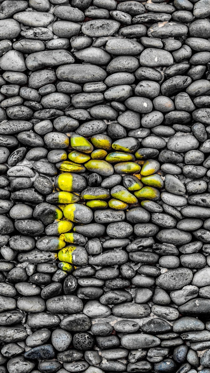 Yellow and Black Caterpillar on Gray Stone. Wallpaper in 720x1280 Resolution