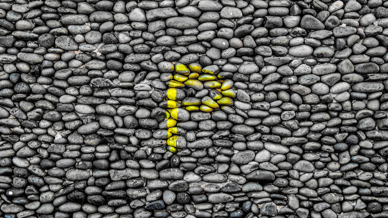 Chenille Jaune et Noire Sur Pierre Grise. Wallpaper in 1280x720 Resolution