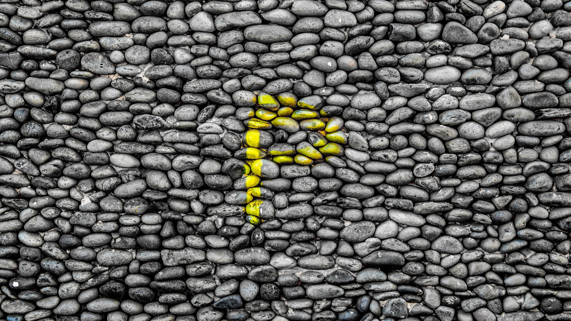 Chenille Jaune et Noire Sur Pierre Grise. Wallpaper in 1920x1080 Resolution