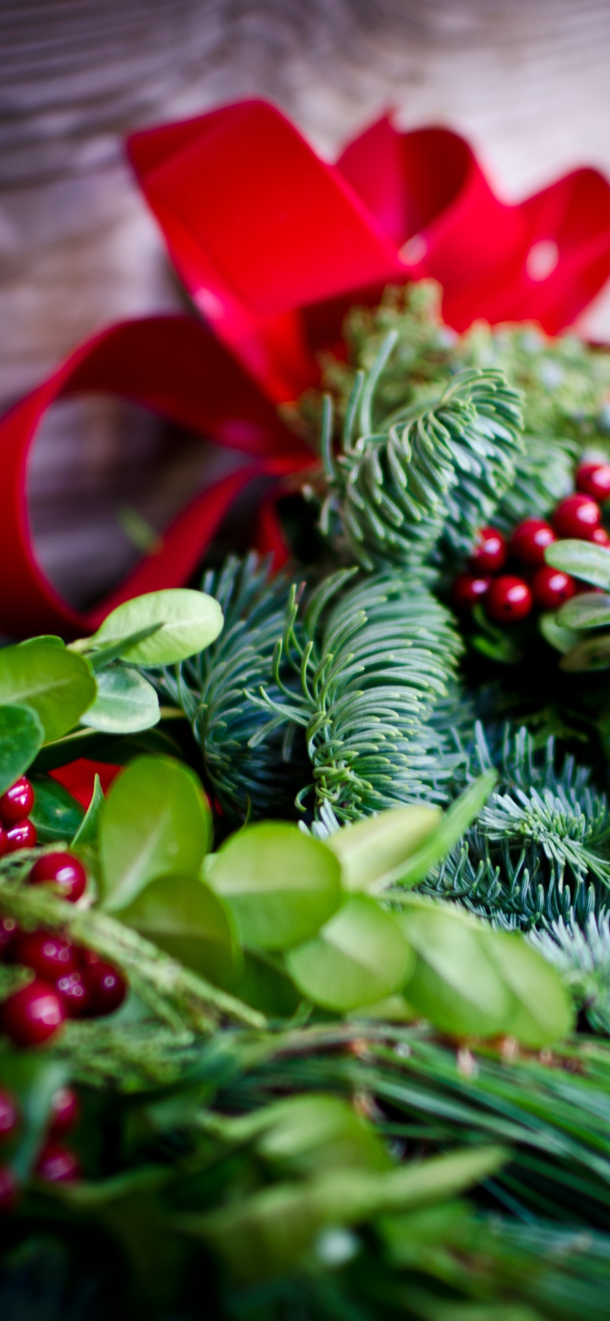 Christmas Decoration, Christmas Day, Christmas Ornament, Plant, Leaf. Wallpaper in 1242x2688 Resolution