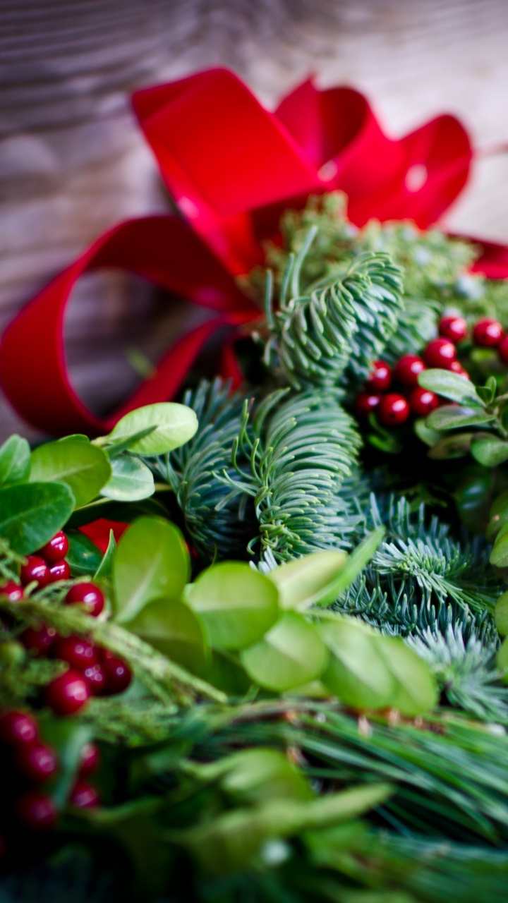 Christmas Decoration, Christmas Day, Christmas Ornament, Plant, Leaf. Wallpaper in 720x1280 Resolution