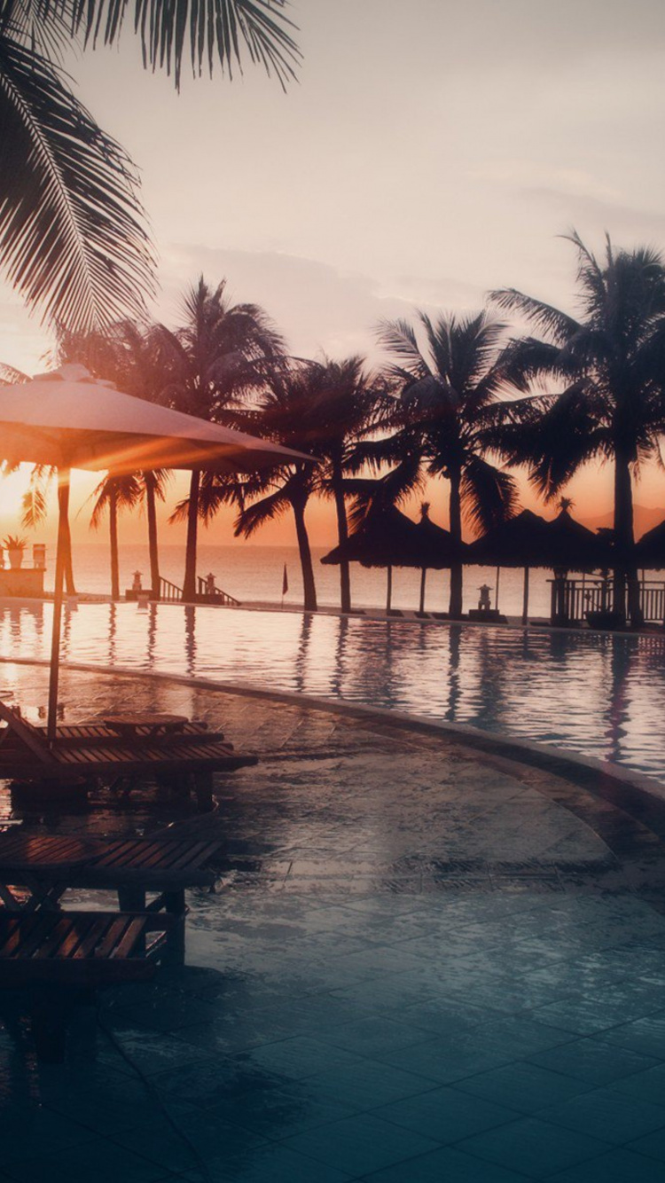 Brown Wooden Beach Lounge Chairs Near Beach During Sunset. Wallpaper in 750x1334 Resolution