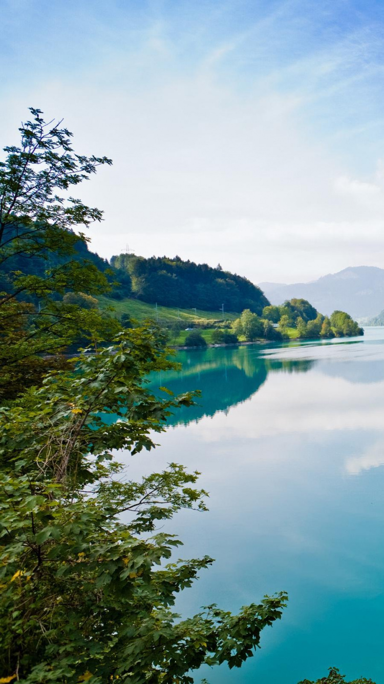 Green Trees Near Lake Under Blue Sky During Daytime. Wallpaper in 750x1334 Resolution