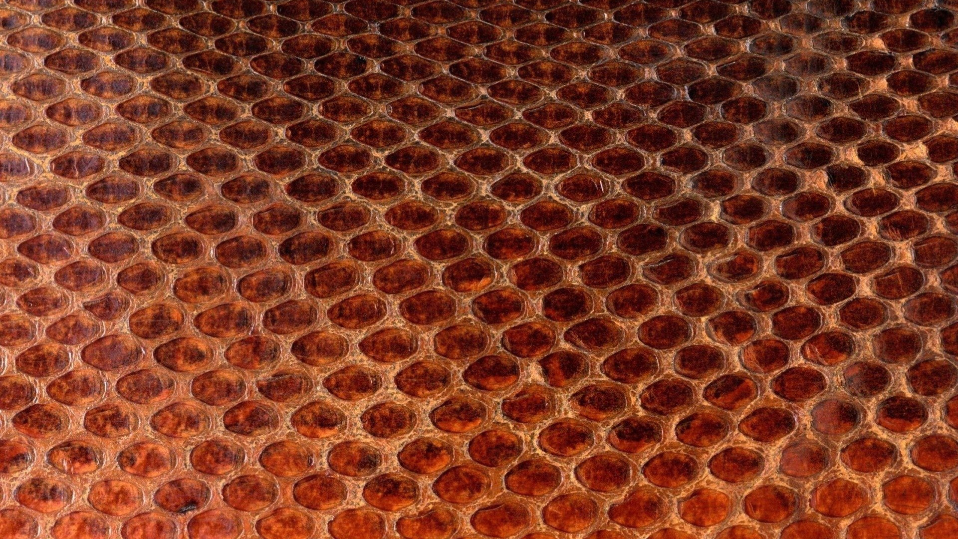 Textil Floral Marrón y Blanco. Wallpaper in 1920x1080 Resolution