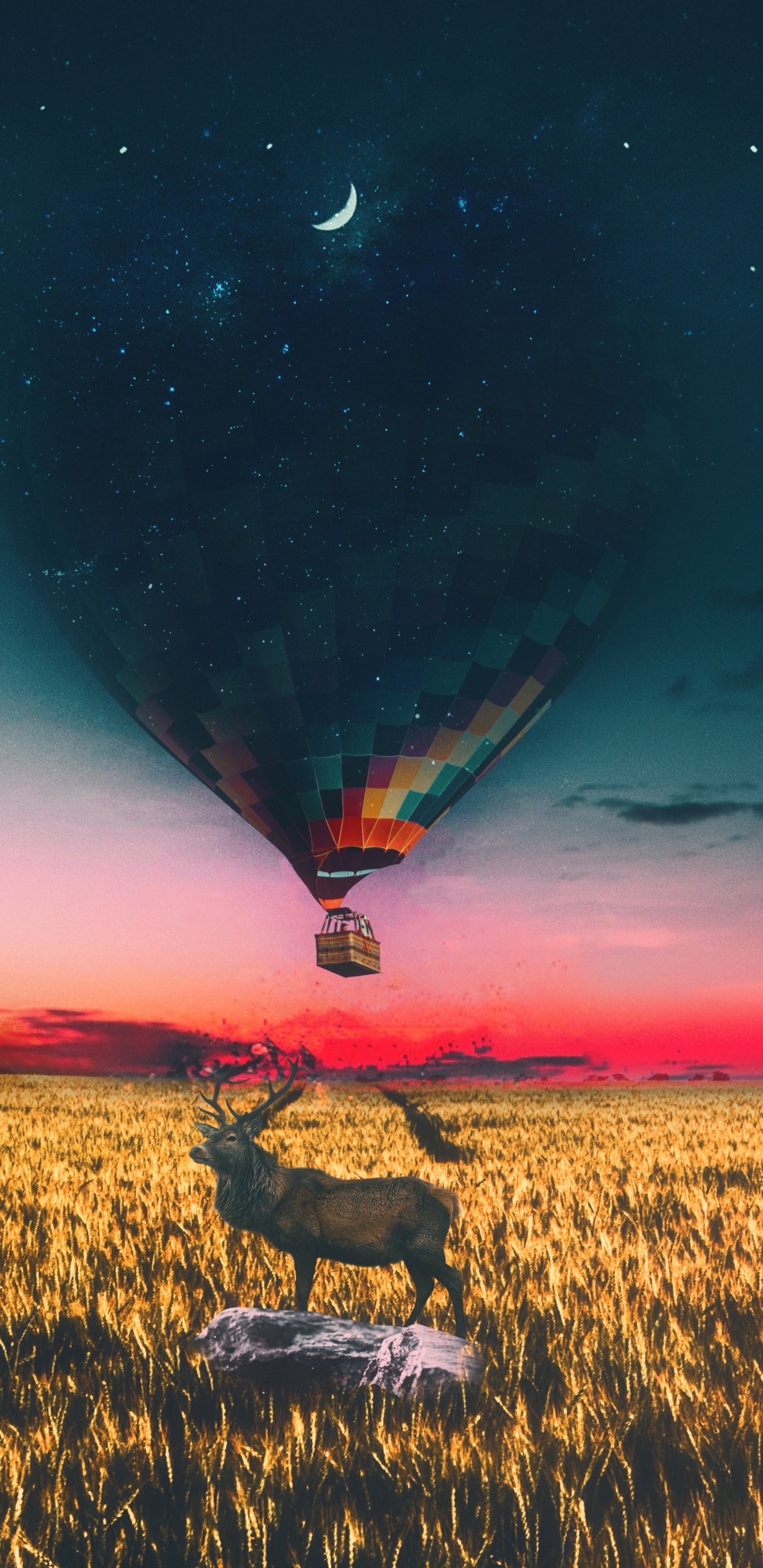Heißluftballon, Atmosphäre, Cloud, Naturlandschaft, Hot Air Ballooning. Wallpaper in 1440x2960 Resolution