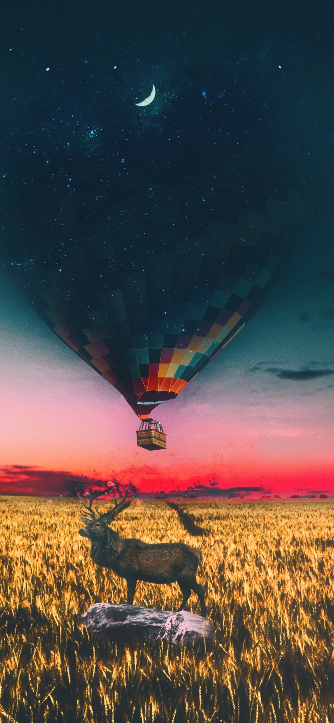 Hot Air Balloon, Plant, Atmosphere, Cloud, Natural Landscape. Wallpaper in 1125x2436 Resolution