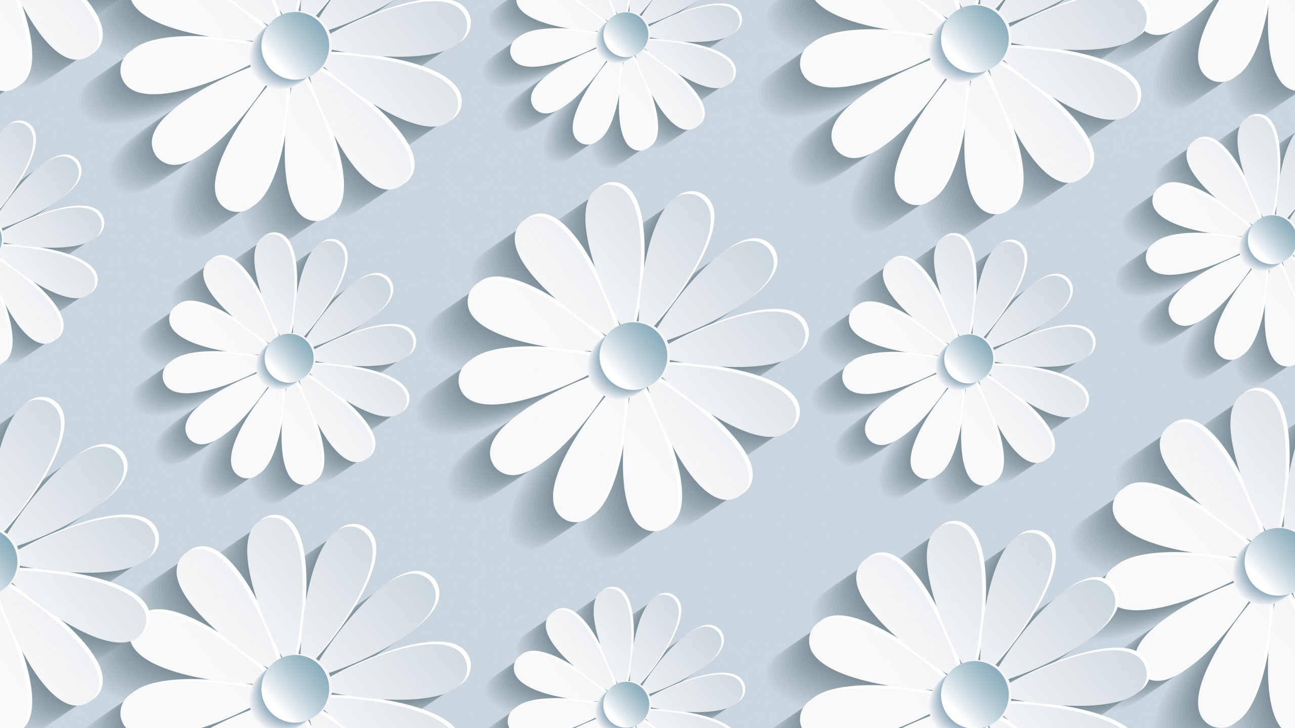 Ilustración Floral en Blanco y Negro. Wallpaper in 2560x1440 Resolution