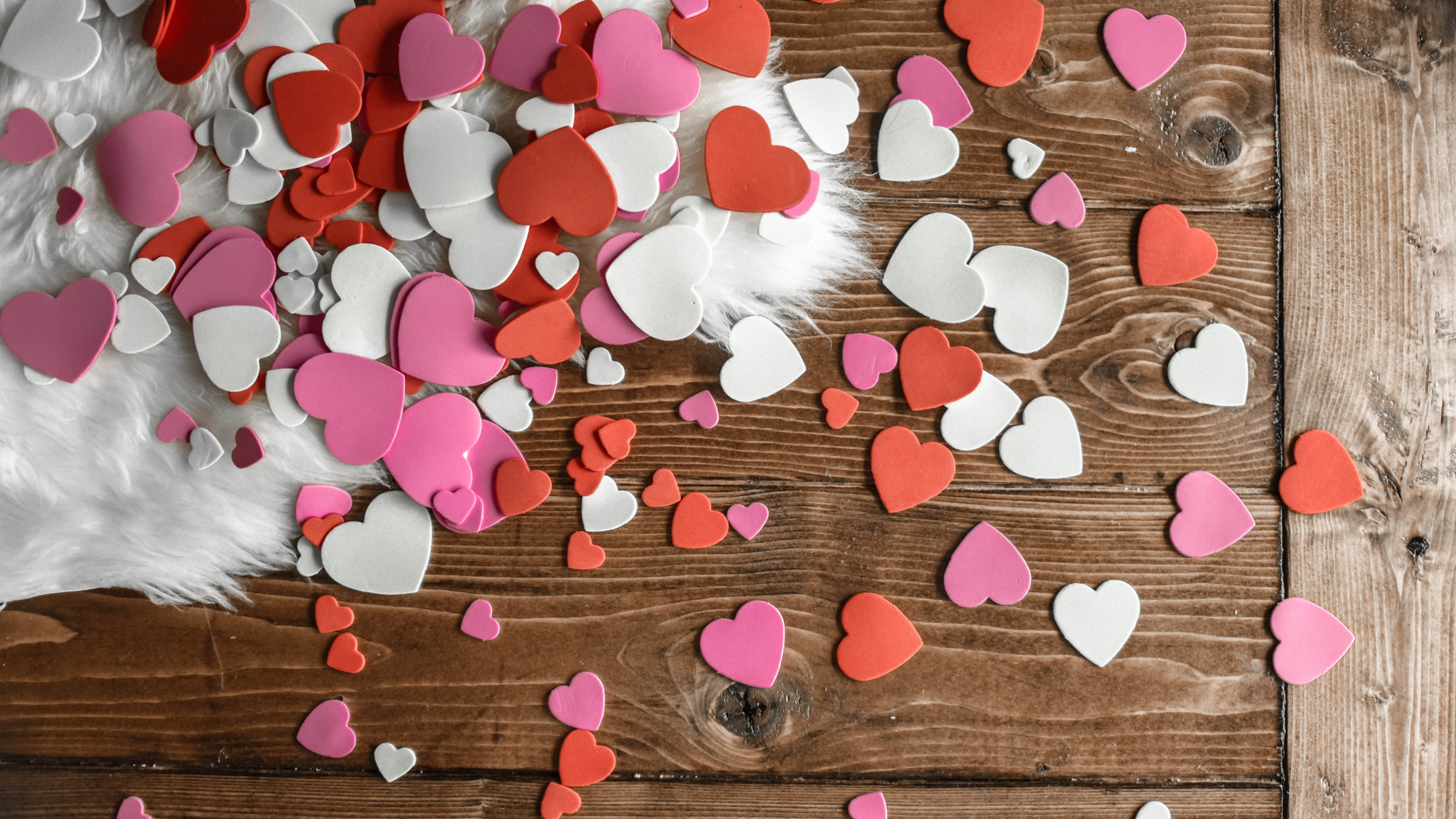 Valentines Tag, Geschenk, Herzen, Pink, Blütenblatt. Wallpaper in 2560x1440 Resolution