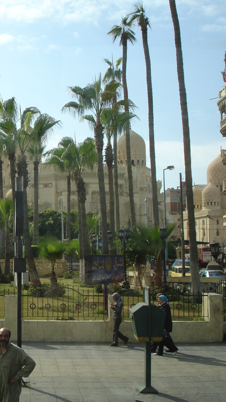 Gente Caminando en el Parque Durante el Día. Wallpaper in 720x1280 Resolution
