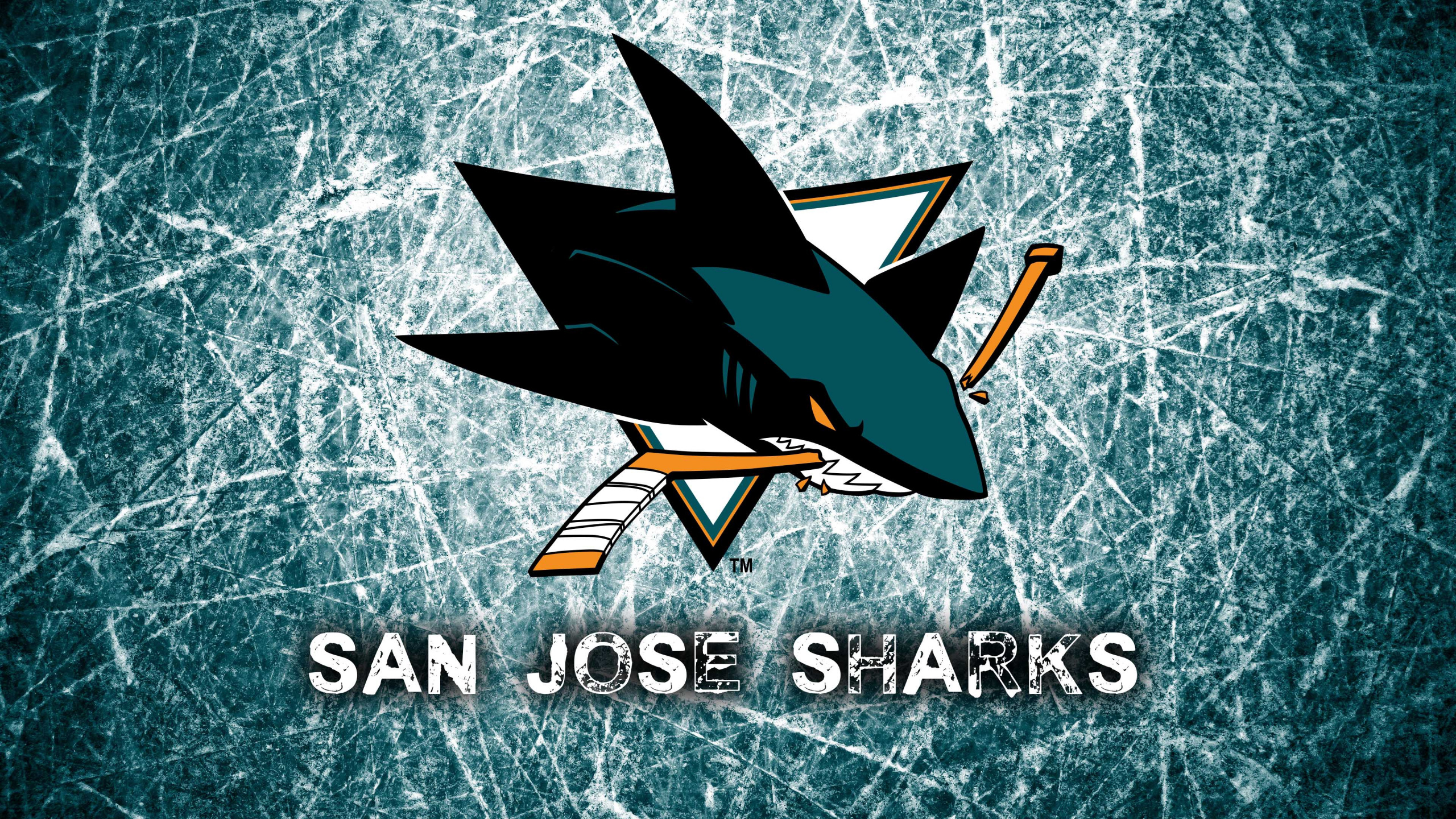 Avion à Réaction Noir et Jaune. Wallpaper in 2560x1440 Resolution