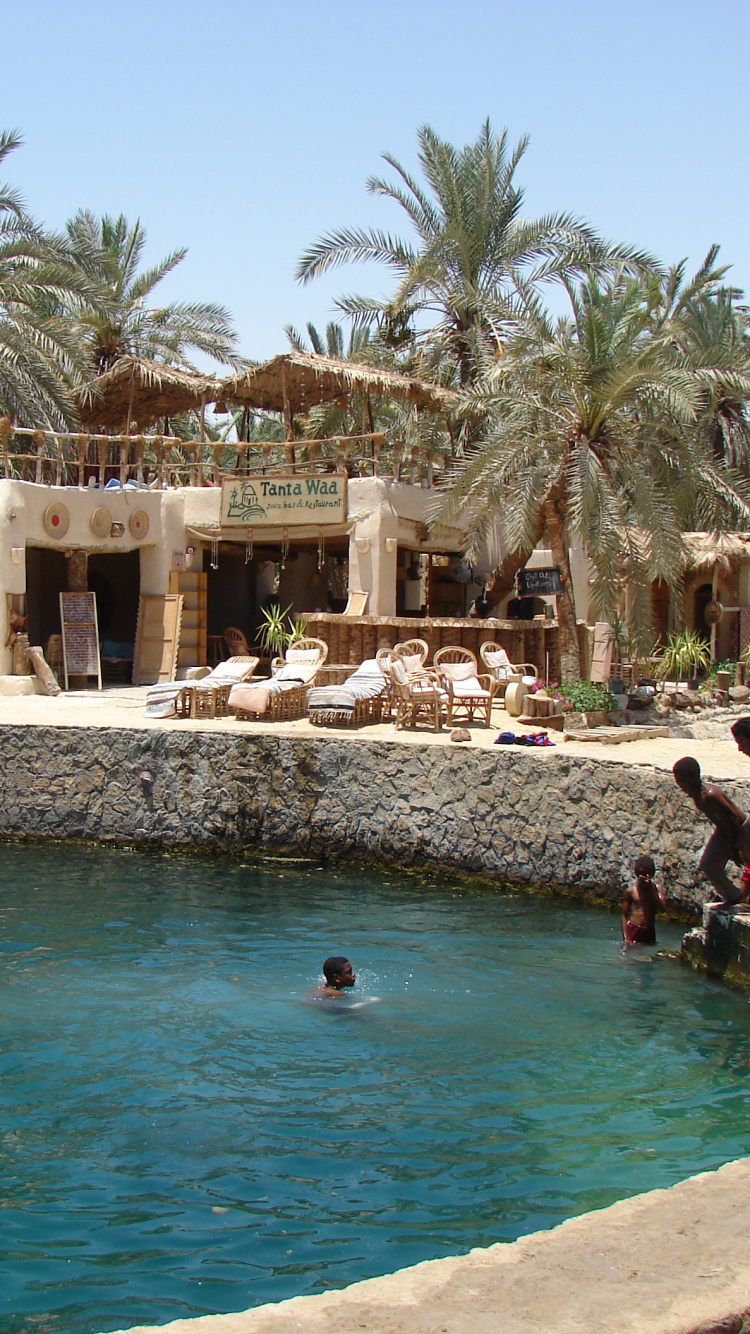Siwa Oasis, 休闲, 度假, 度假村, 绿洲 壁纸 750x1334 允许