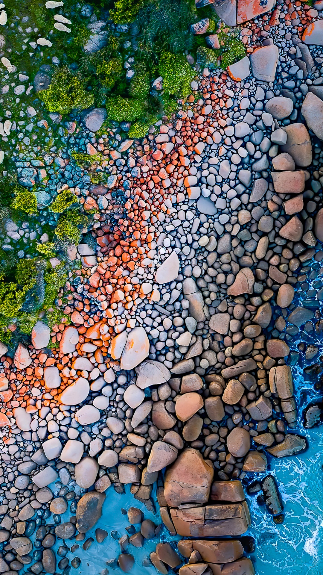 Reflection, Leaf, Paint, Natural Environment, Botany. Wallpaper in 1080x1920 Resolution