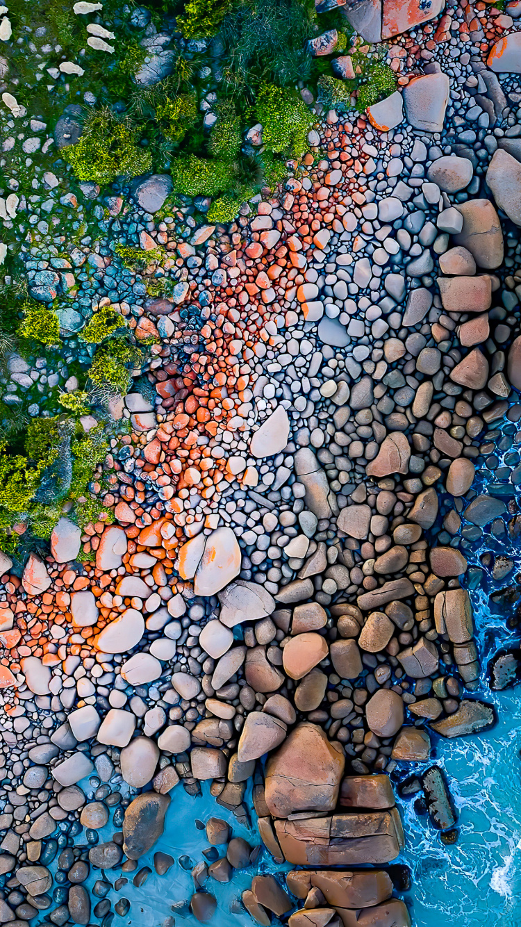 Reflection, Leaf, Paint, Natural Environment, Botany. Wallpaper in 750x1334 Resolution