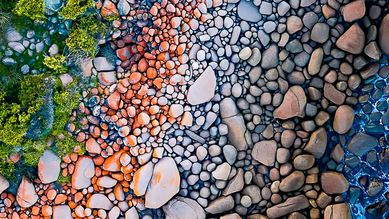 Reflexion, Blatt, Farbe, Natürlichen Umgebung, Botanik. Wallpaper in 1280x720 Resolution