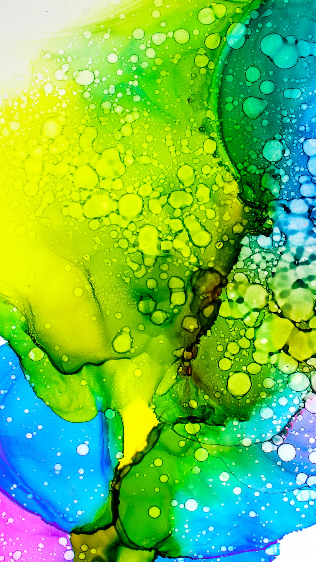 Wasser, Tinte Waschen Malerei, Illustration, Gr, Botanik. Wallpaper in 1080x1920 Resolution