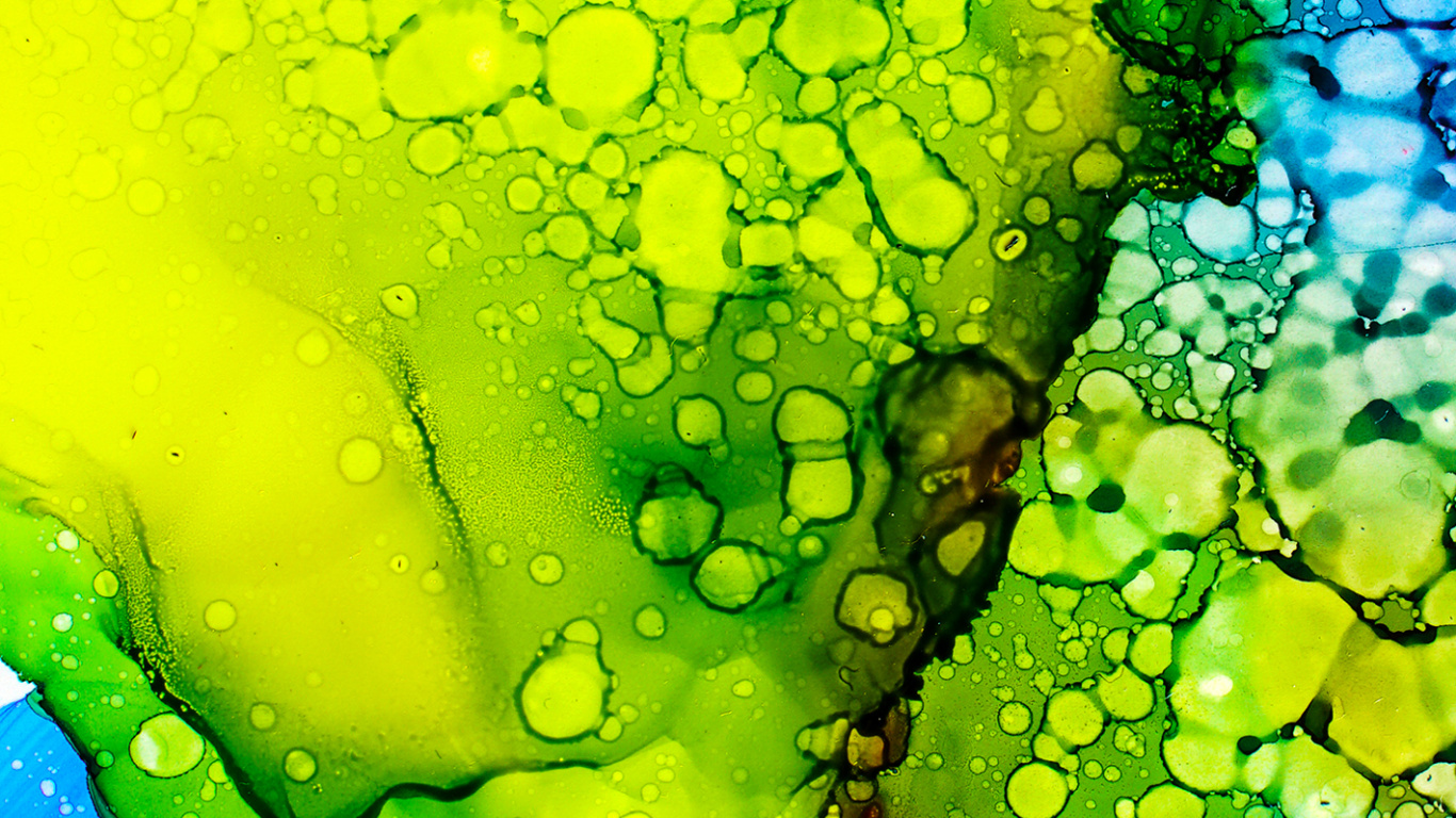 Wasser, Tinte Waschen Malerei, Illustration, Gr, Botanik. Wallpaper in 1366x768 Resolution