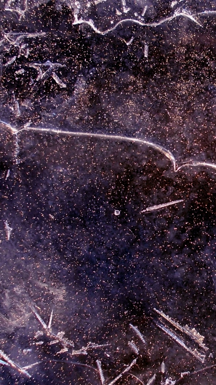 纹理, 冬天, 冻结, 森林, 草 壁纸 720x1280 允许