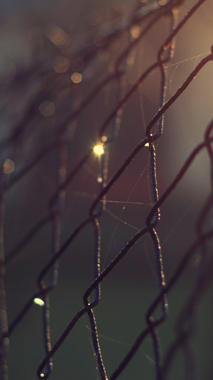 Gotas de Agua Sobre la Valla de Metal Gris. Wallpaper in 750x1334 Resolution