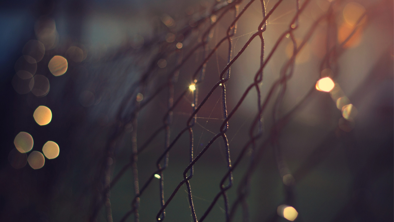 Water Droplets on Gray Metal Fence. Wallpaper in 1280x720 Resolution