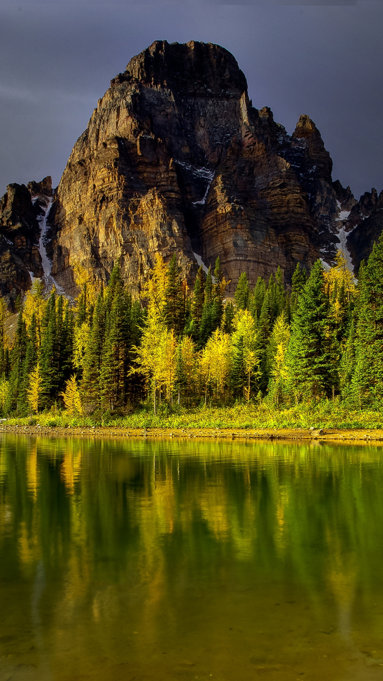 Green Trees Near Lake and Mountain. Wallpaper in 750x1334 Resolution