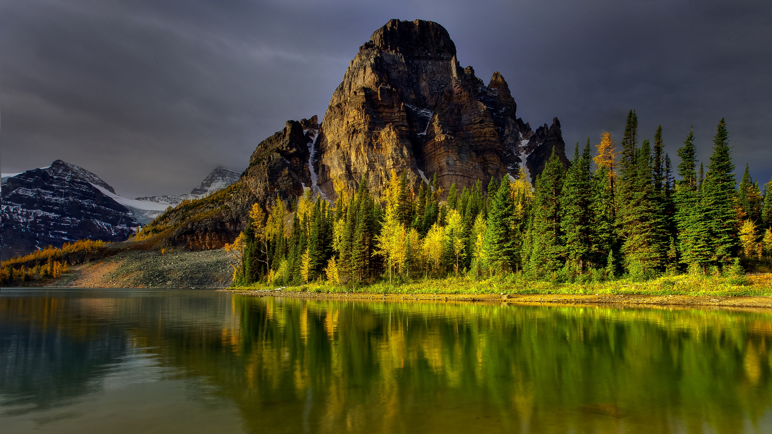 Grüne Bäume in Der Nähe Von See Und Berg. Wallpaper in 2560x1440 Resolution