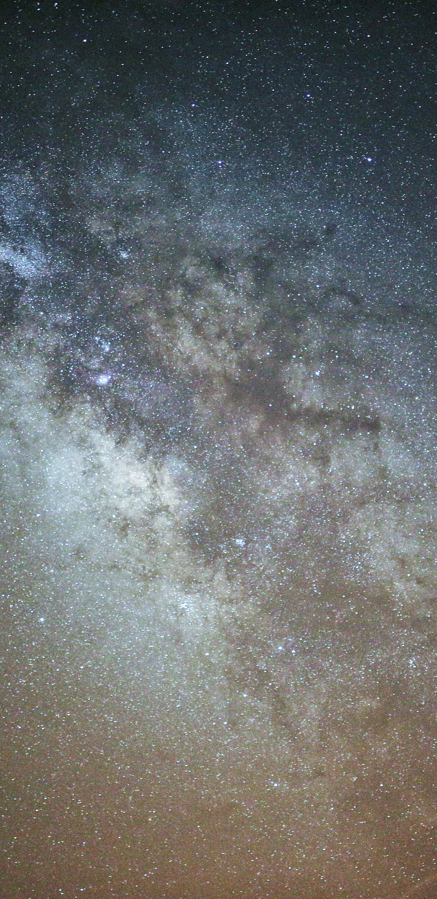 Cielo Estrellado Sobre la Noche Estrellada. Wallpaper in 1440x2960 Resolution