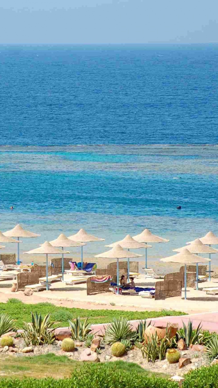 People on Beach During Daytime. Wallpaper in 720x1280 Resolution