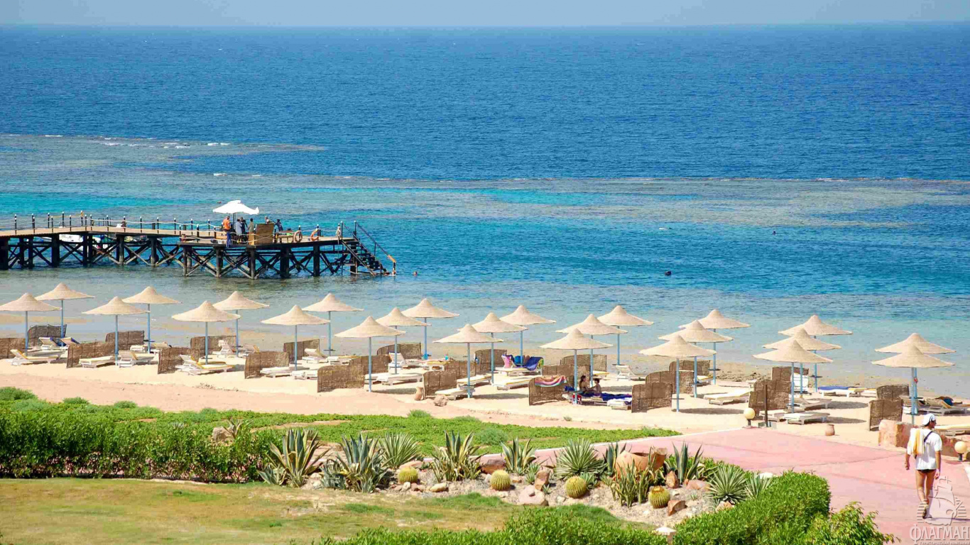 Leute am Strand Tagsüber. Wallpaper in 1366x768 Resolution