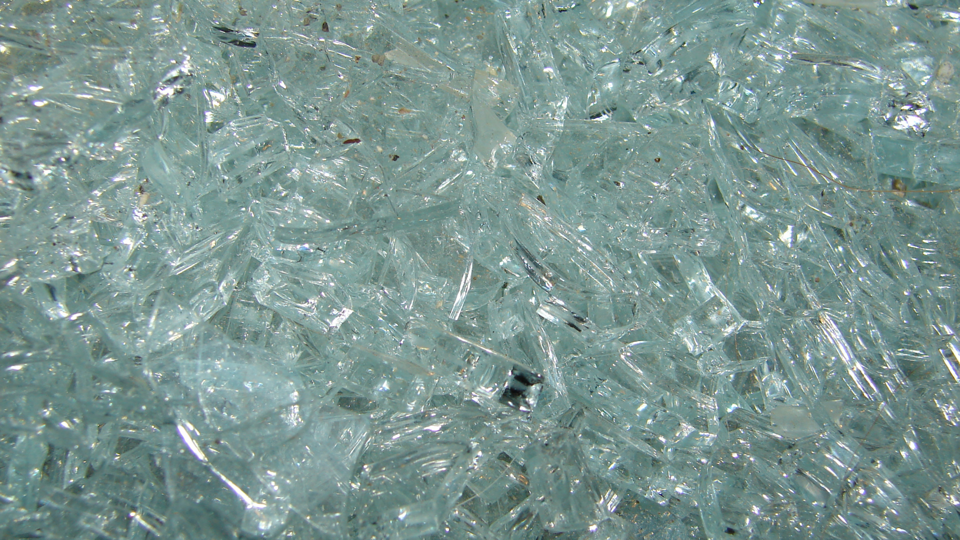 Hojas Verdes en Fotografía de Cerca. Wallpaper in 1920x1080 Resolution