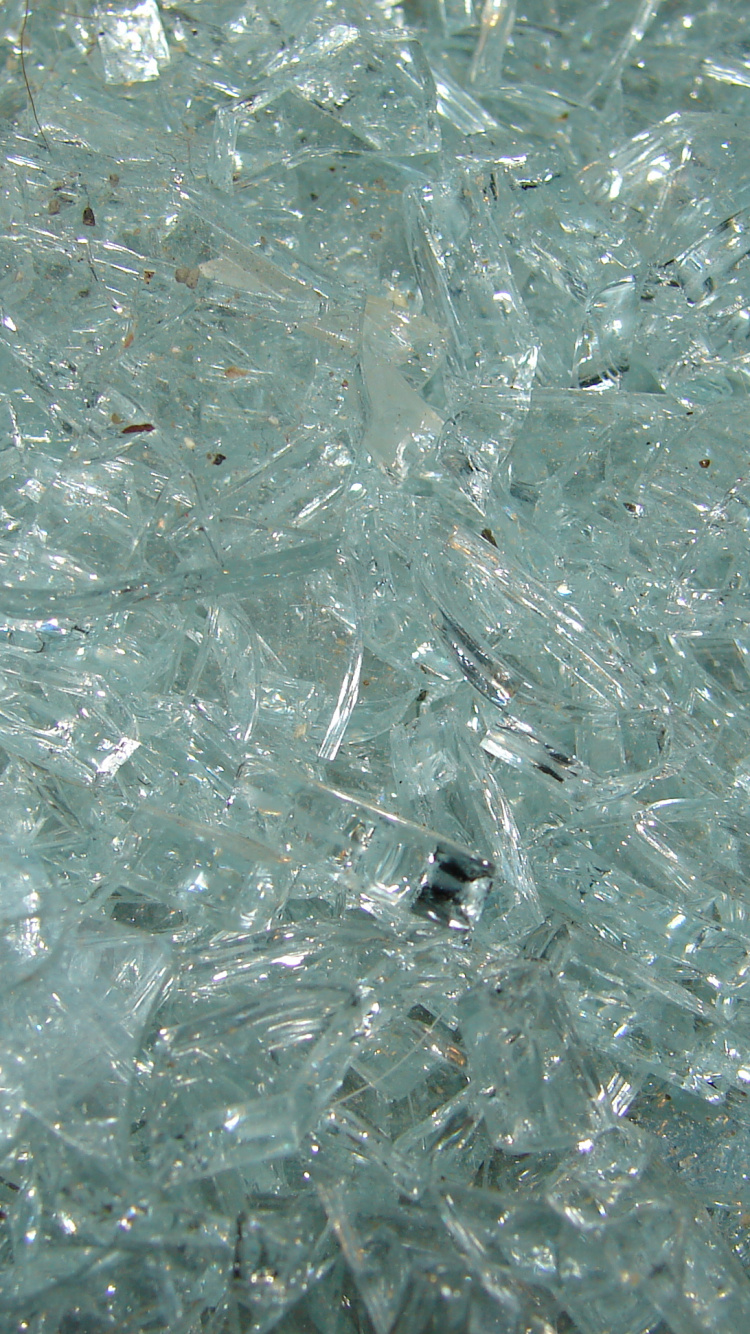 Hojas Verdes en Fotografía de Cerca. Wallpaper in 750x1334 Resolution