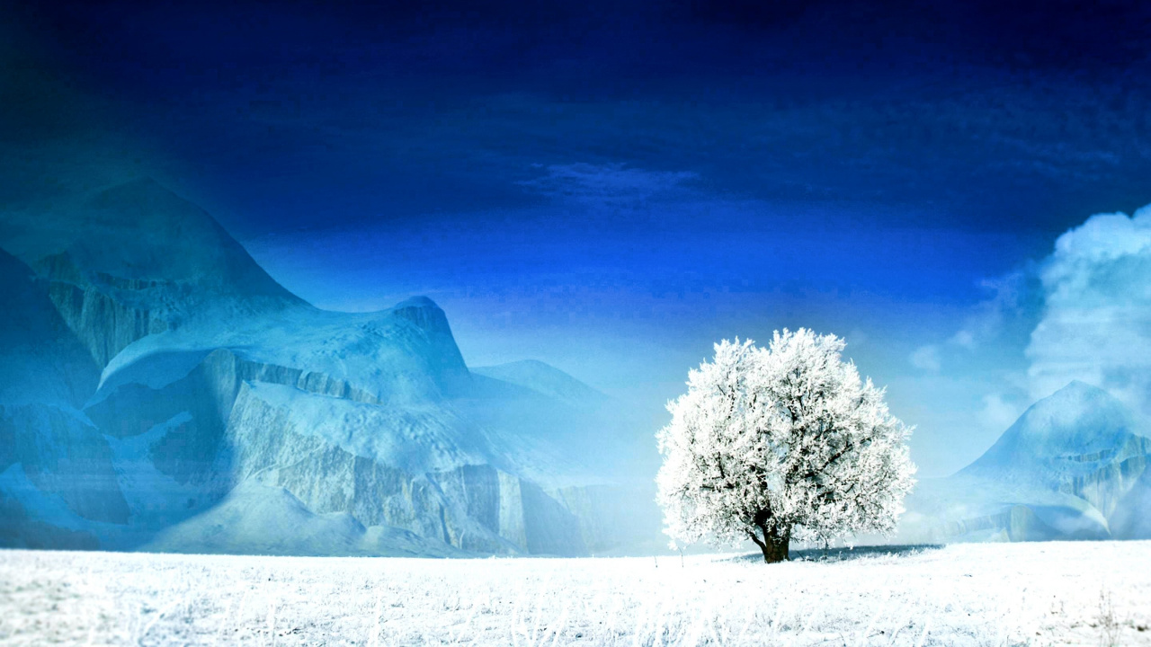 性质, 冬天, 冻结, 北极, 北冰洋 壁纸 1280x720 允许