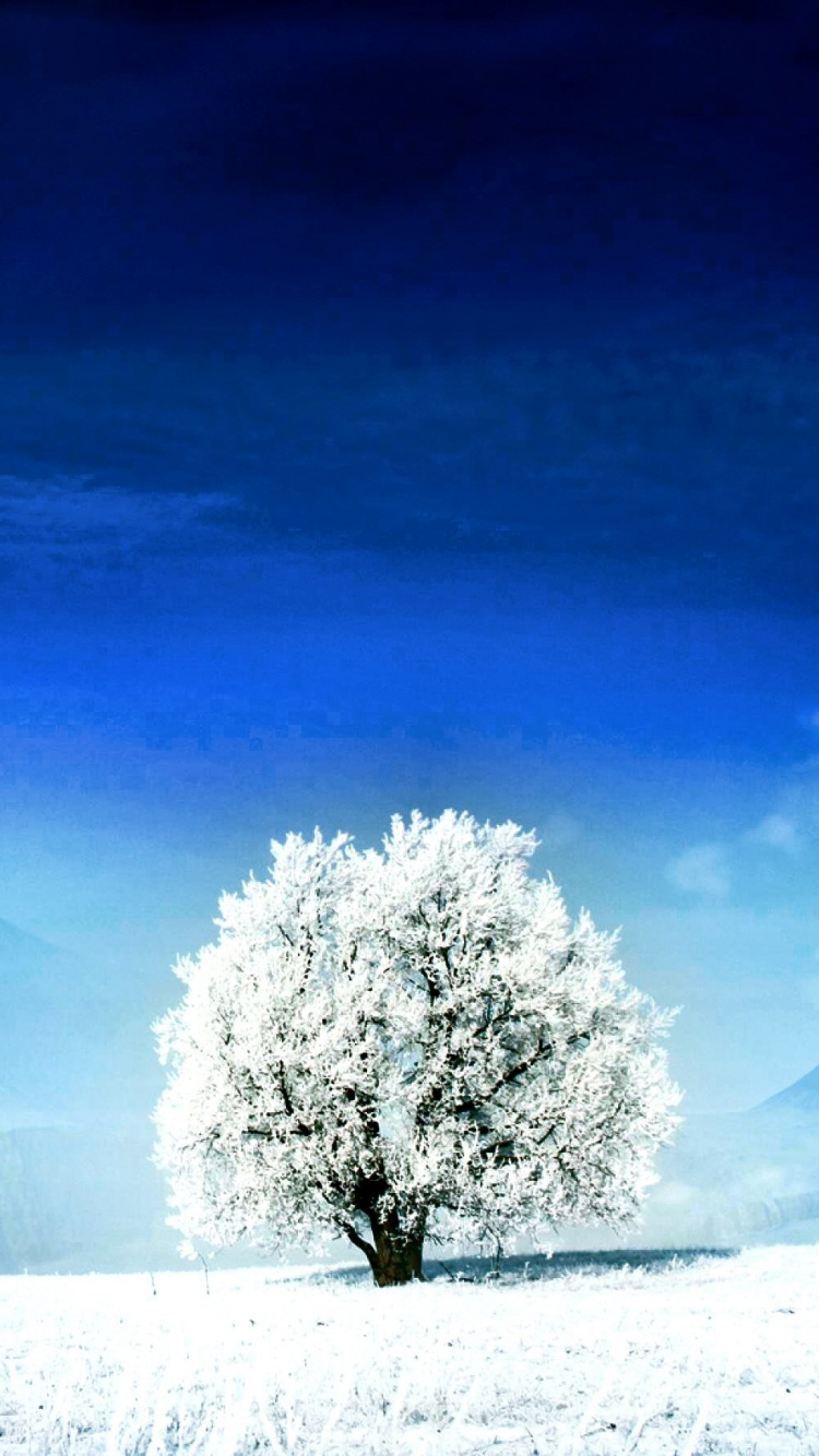 性质, 冬天, 冻结, 北极, 北冰洋 壁纸 750x1334 允许