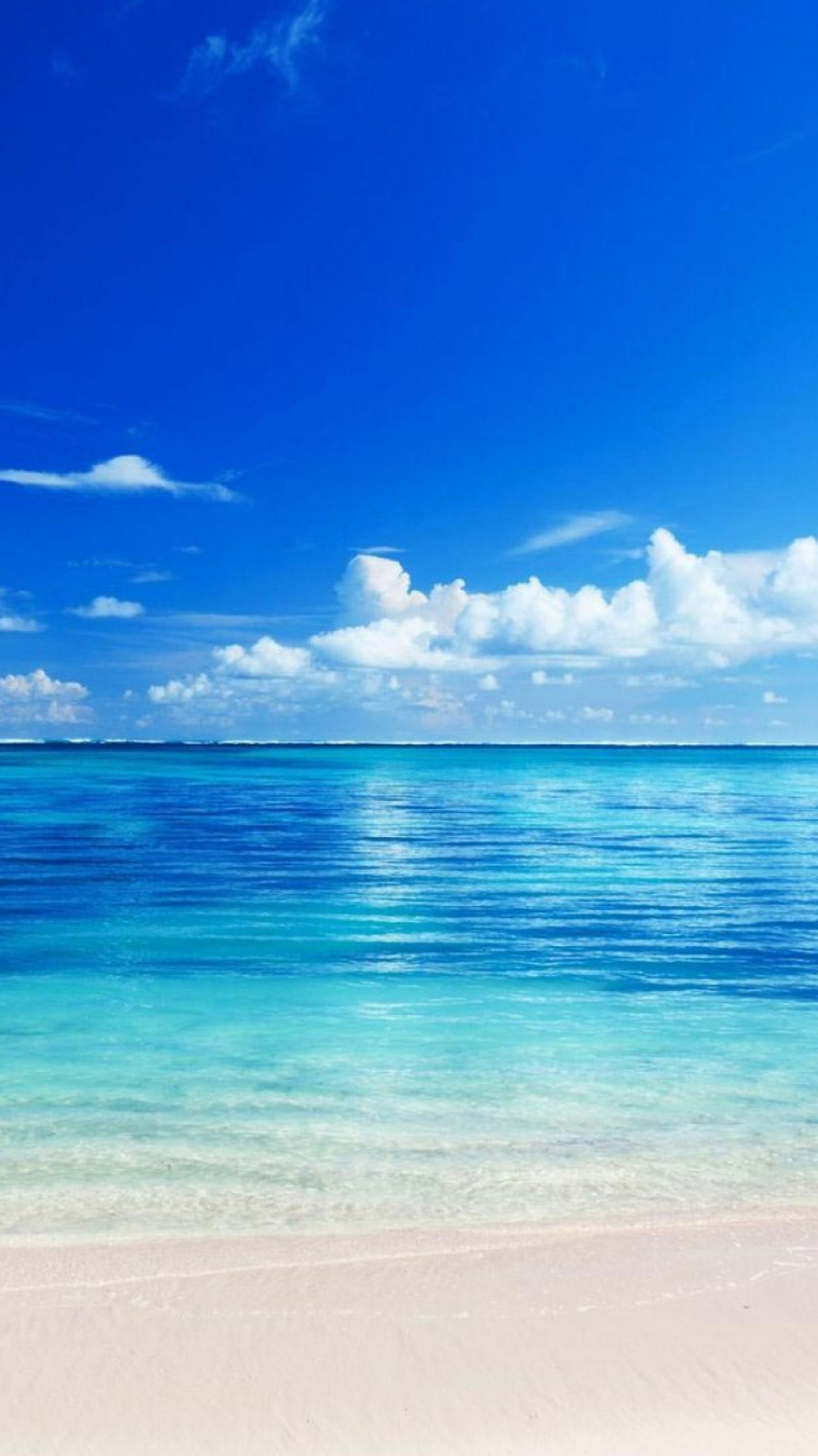 Mar Azul Bajo un Cielo Azul Durante el Día. Wallpaper in 750x1334 Resolution