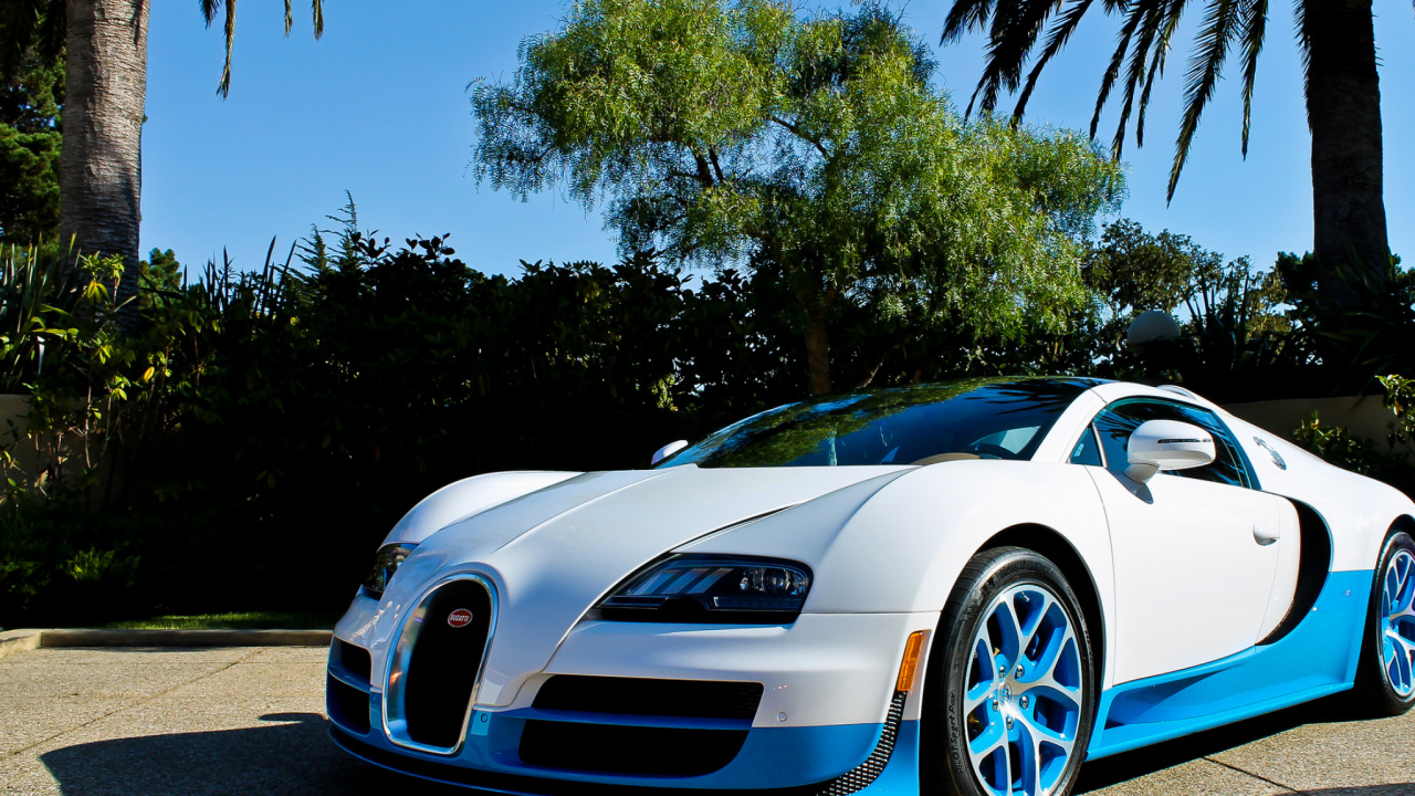White Porsche 911 Parked Near Palm Trees During Daytime. Wallpaper in 1280x720 Resolution