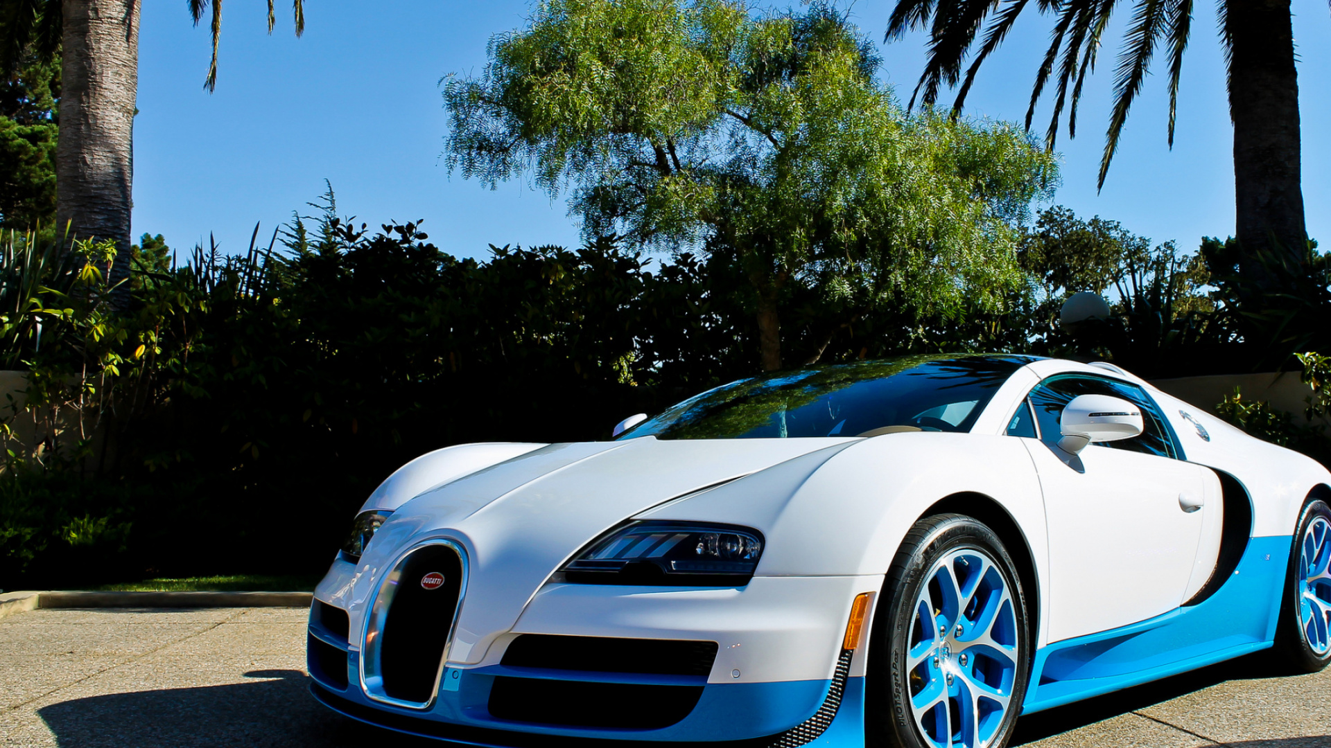 White Porsche 911 Parked Near Palm Trees During Daytime. Wallpaper in 1920x1080 Resolution