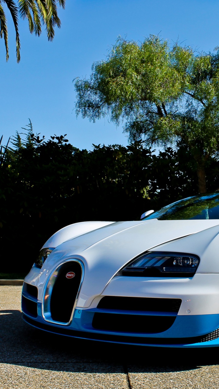 White Porsche 911 Parked Near Palm Trees During Daytime. Wallpaper in 720x1280 Resolution