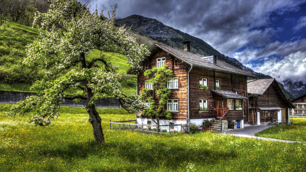 Braunes Holzhaus in Der Nähe Von Grünen Bäumen Tagsüber. Wallpaper in 1280x720 Resolution