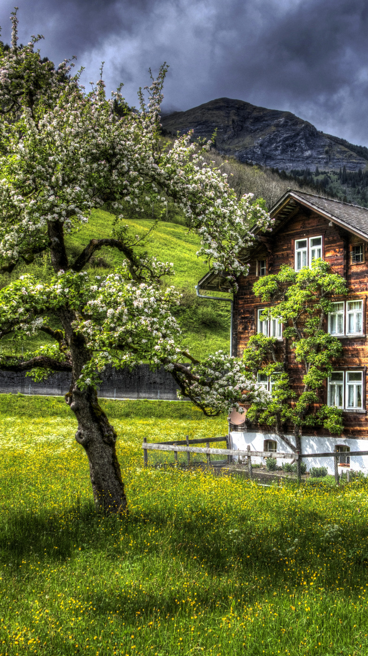 Brown Wooden House Near Green Trees During Daytime. Wallpaper in 750x1334 Resolution