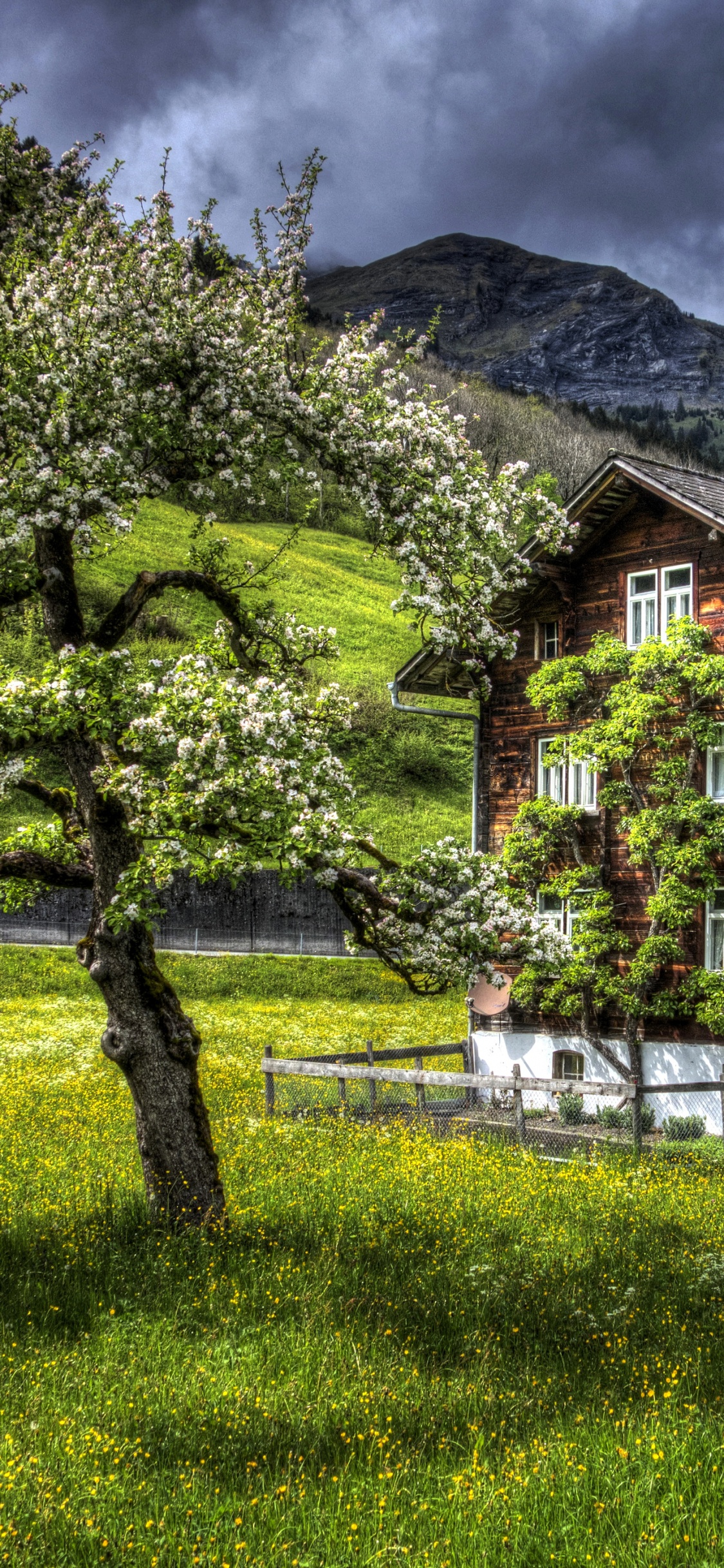Casa de Madera Marrón Cerca de Árboles Verdes Durante el Día. Wallpaper in 1125x2436 Resolution