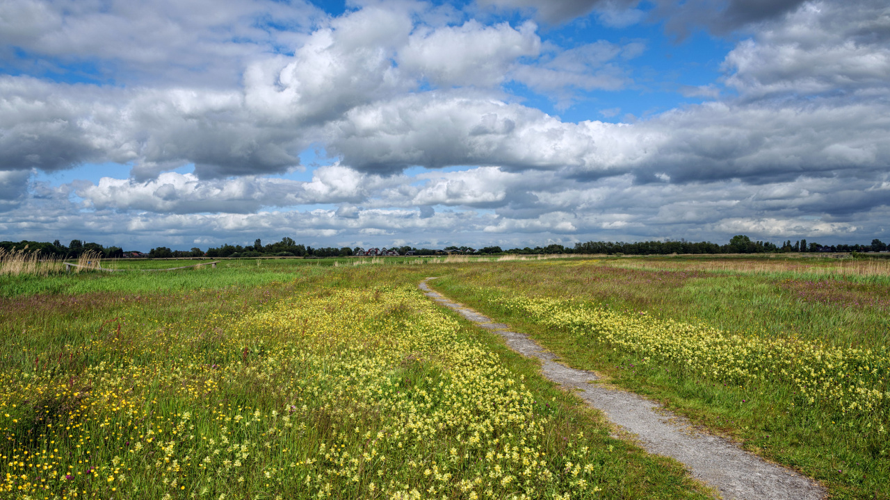 Green Grass Field Under White Clouds and Blue Sky During Daytime. Wallpaper in 1280x720 Resolution