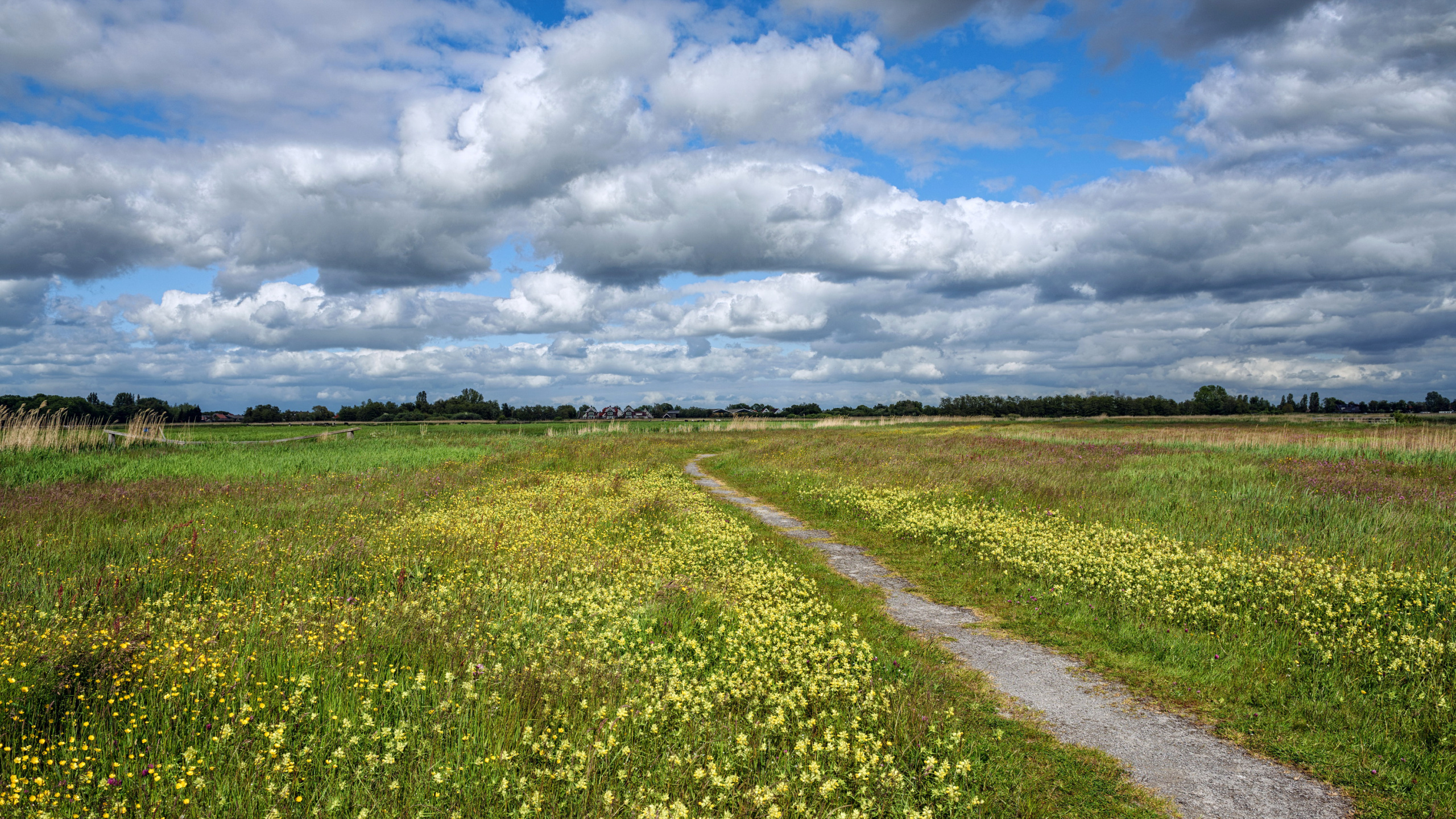 Green Grass Field Under White Clouds and Blue Sky During Daytime. Wallpaper in 2560x1440 Resolution